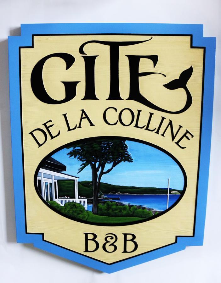 Gite De La Colline Baie-Sainte-Catherine Eksteriør billede